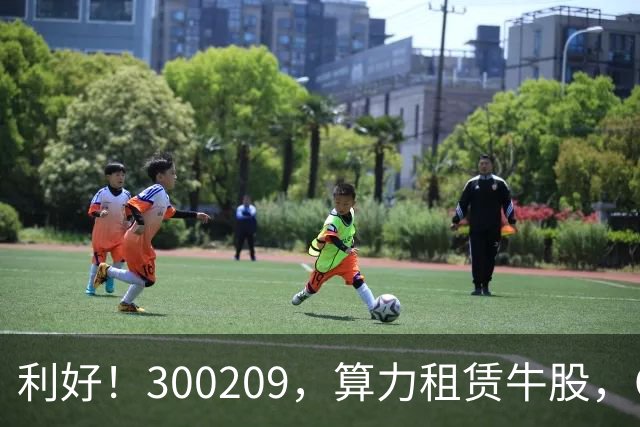 利好！300209，算力租赁牛股，Q3营收大增55倍